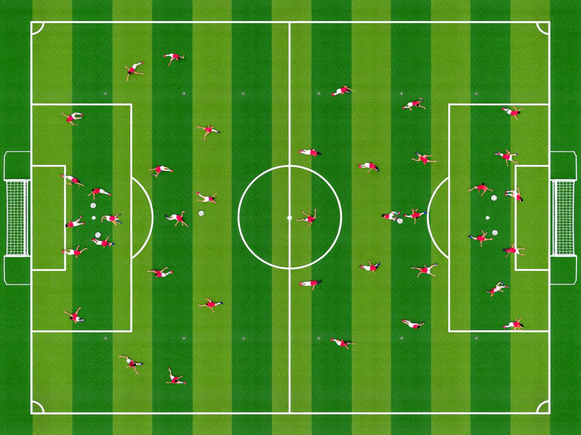 九游娱乐app官网-国家队选材公平性问题,国家队选材公平性问题是什么 第2张