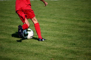 九游官网入口-体育新闻中心推进赛事图文实时发布系统优化,体育新闻赛事报道标题大全 第3张